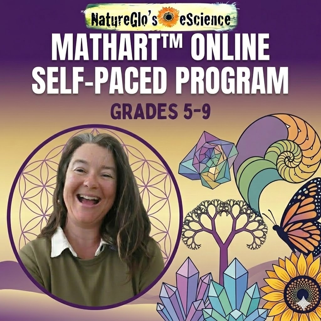 Homeschool MathArt™ Self-paced Online Course Program Grades 5 - 9
